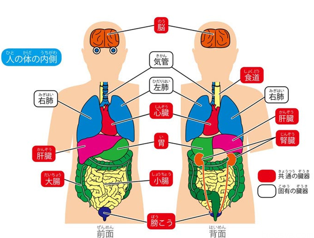 http://www.kyouzai-j.com/blog/udata/055732-444.jpg