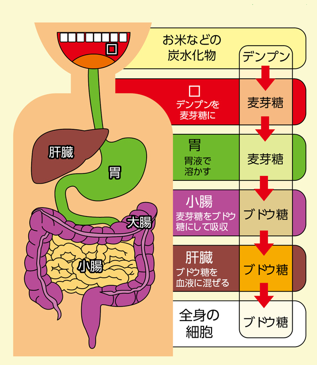 http://www.kyouzai-j.com/blog/udata/111-1.jpg