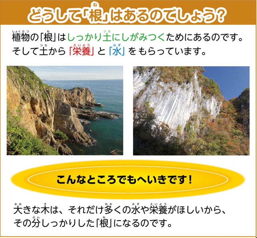 http://www.kyouzai-j.com/blog/udata/55720-10.jpg