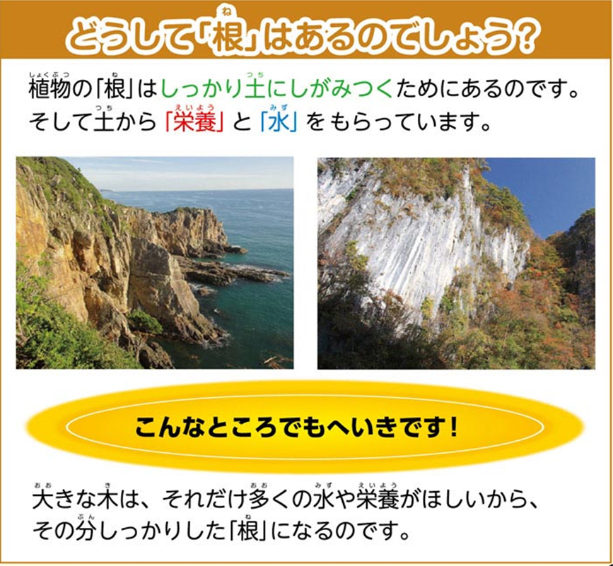 http://www.kyouzai-j.com/blog/udata/55720-10.jpg