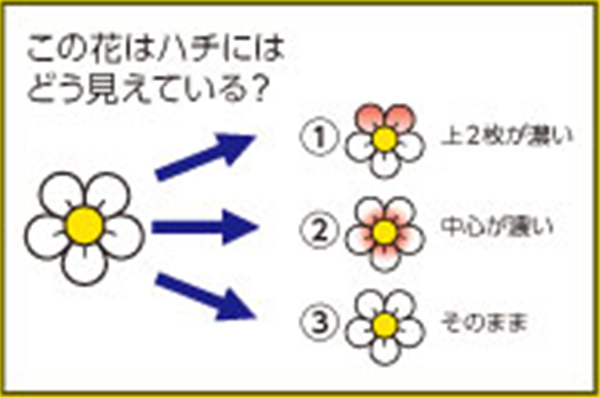 http://www.kyouzai-j.com/blog/udata/55720-6.jpg