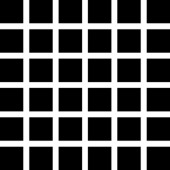 5572-10.jpg