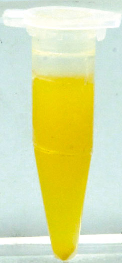 55738-9.jpg
