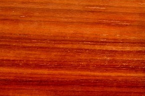 padauk_1.jpg