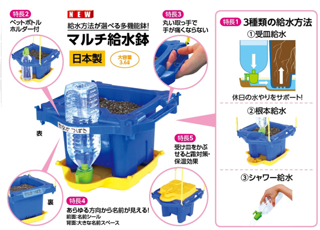 あさがおの育て方 基本中の基本を知ろう