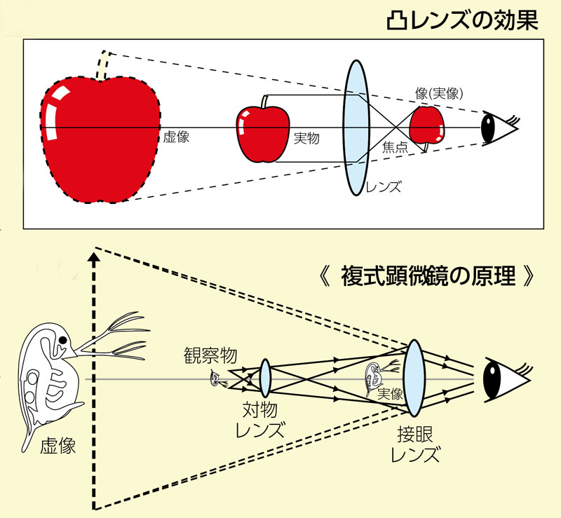 http://www.kyouzai-j.com/blog/udata/lens.jpg