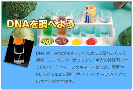 野菜やお肉からdnaを取り出し調べる ここまできた理科教材におどろき