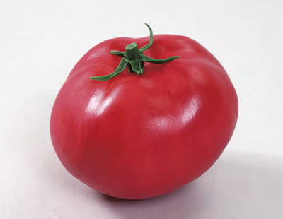 粘土ハンドメイド　夏野菜トマト3個