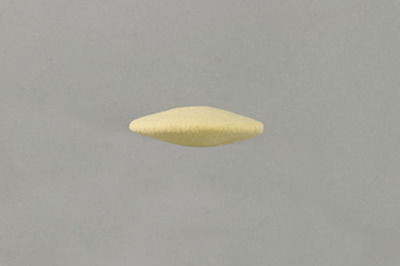 106.jpg