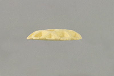113.jpg