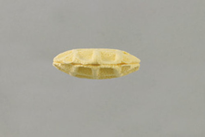 115.jpg